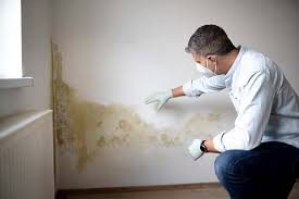 Mold Documentation for Insurance Claims in Kendale Lakes, FL